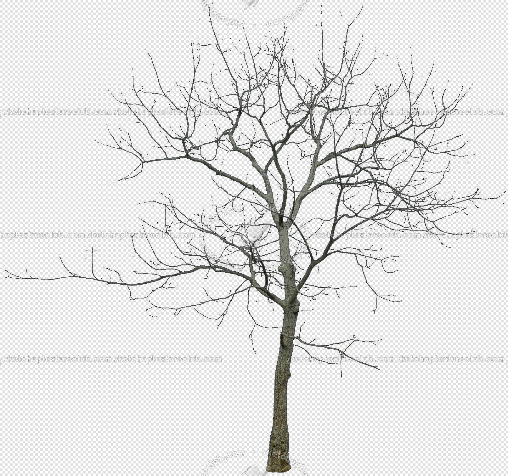 CUT OUT WINTER TREES PACK 1 00036 - 10 - cut out winter trees pack 1 - px 1614x1512