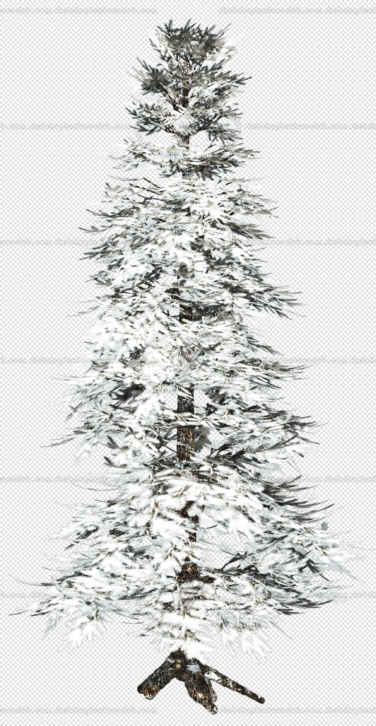 CUT OUT WINTER TREES PACK 1 00036 - 13 - cut out winter trees pack 1 - px 1249x2407