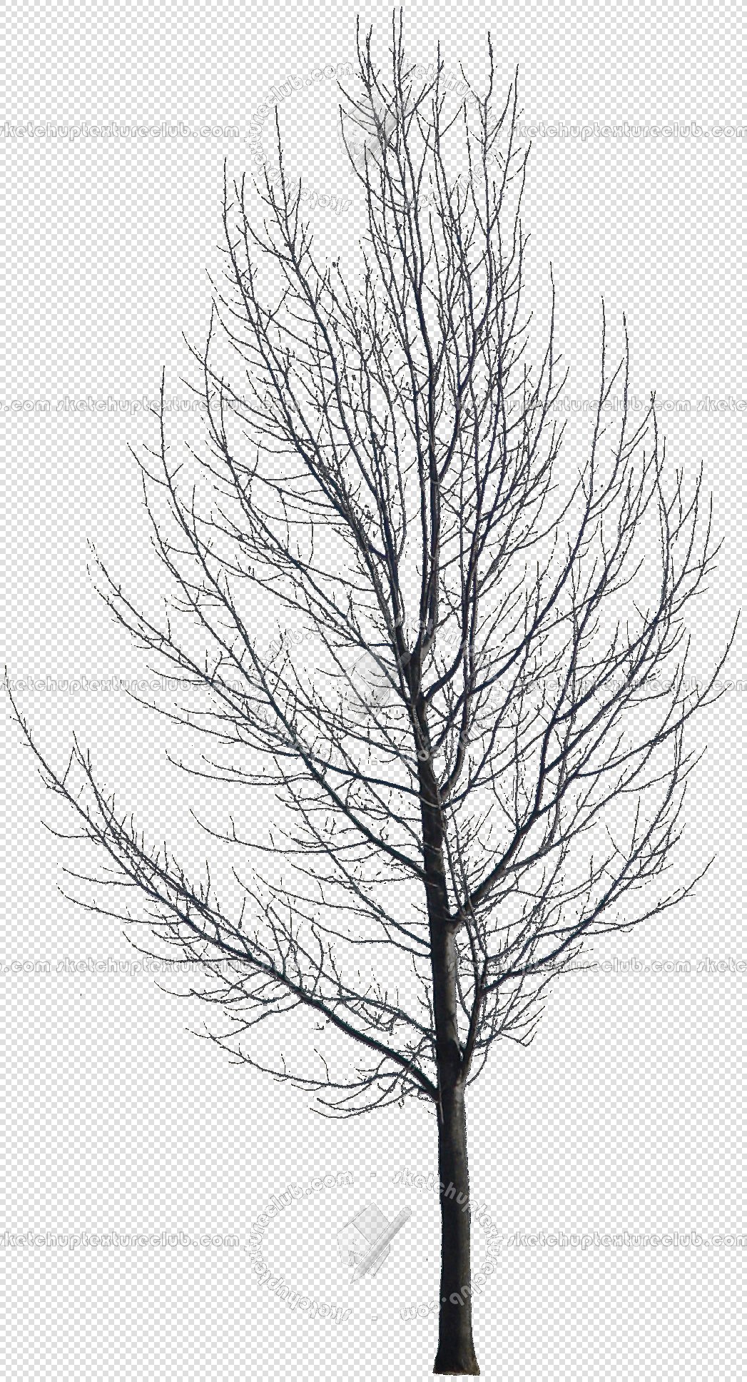 CUT OUT WINTER TREES PACK 1 00036 - 4 - cut out winter trees pack 1 - px 1047x1936