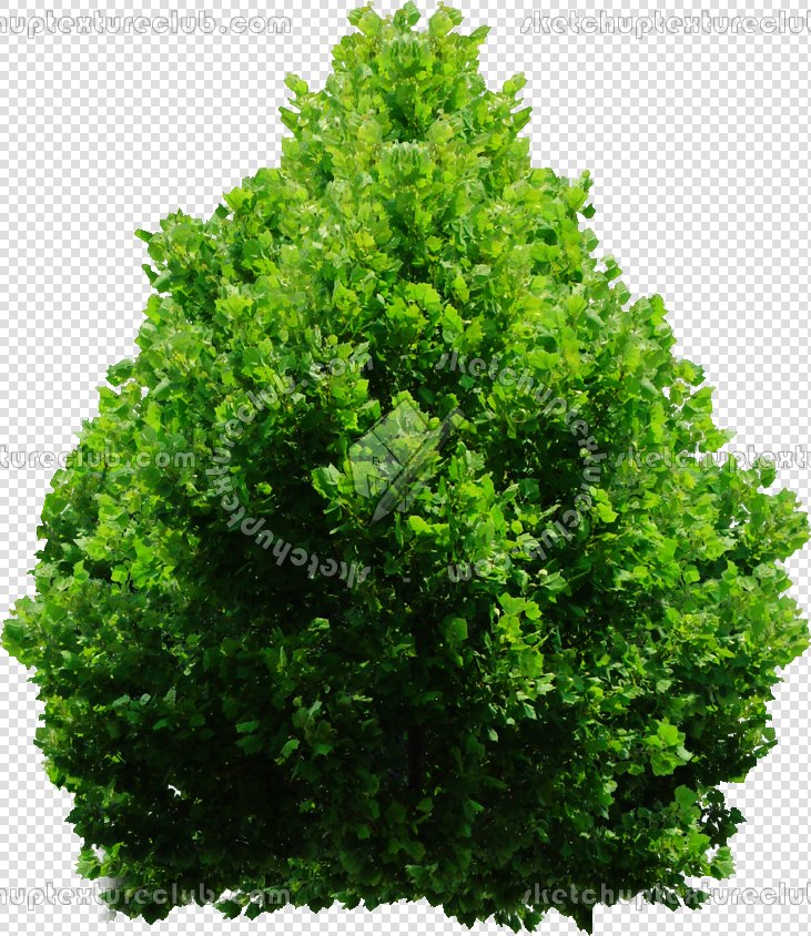 CUT OUT SHRUBS PACK 2 00021 - Pixel 731 x 844