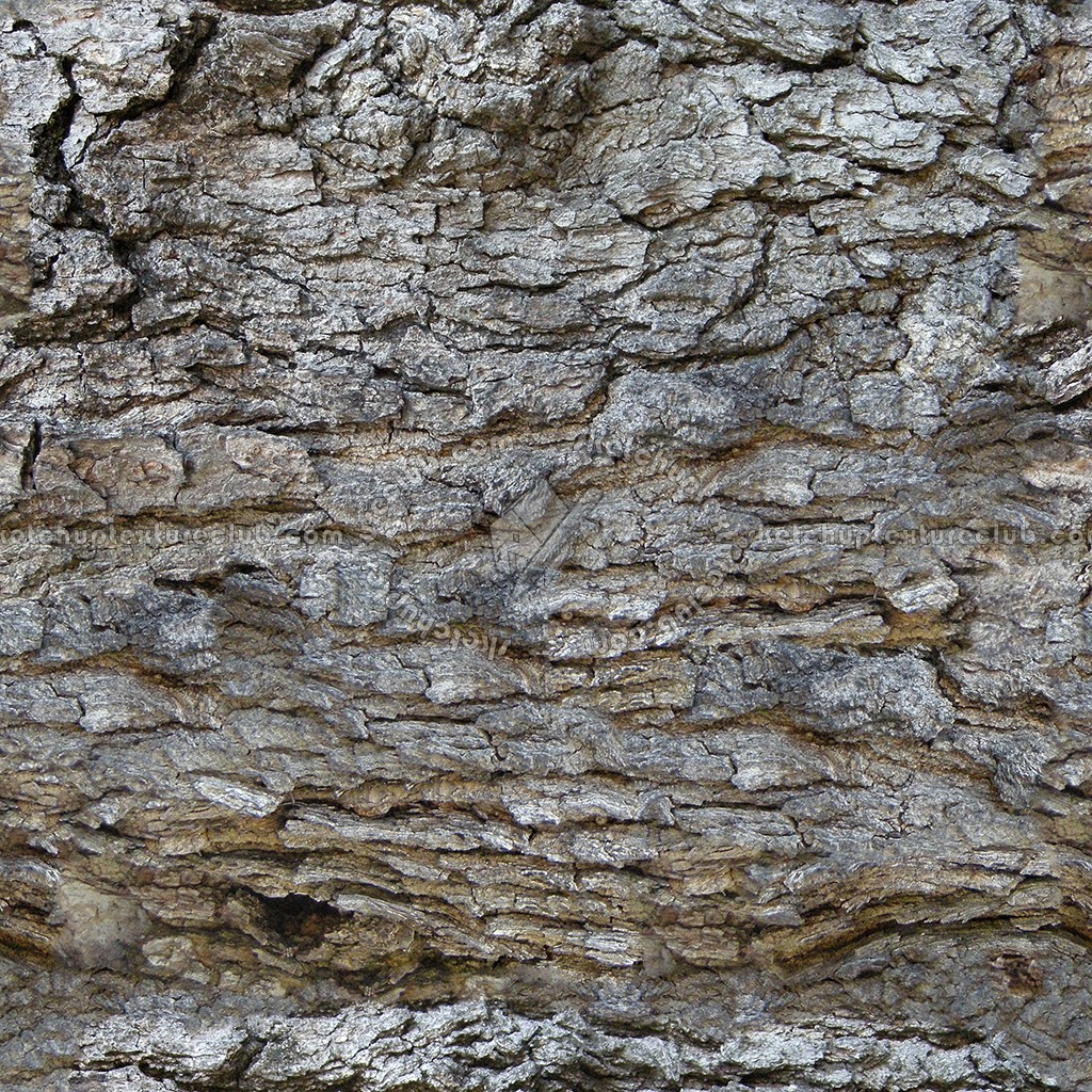 Textures   -   NATURE ELEMENTS   -   BARK  - Bark texture seamless 12308 (seamless)