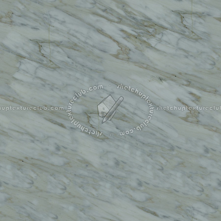 Textures   -   ARCHITECTURE   -   MARBLE SLABS   -   Green  - Slab marble calacatta green texture seamless 02227 (seamless)