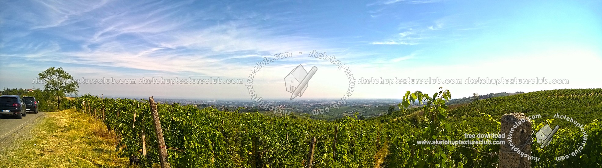 Textures   -   BACKGROUNDS &amp; LANDSCAPES   -   NATURE   -   Vineyards  - Vineyards background 17724