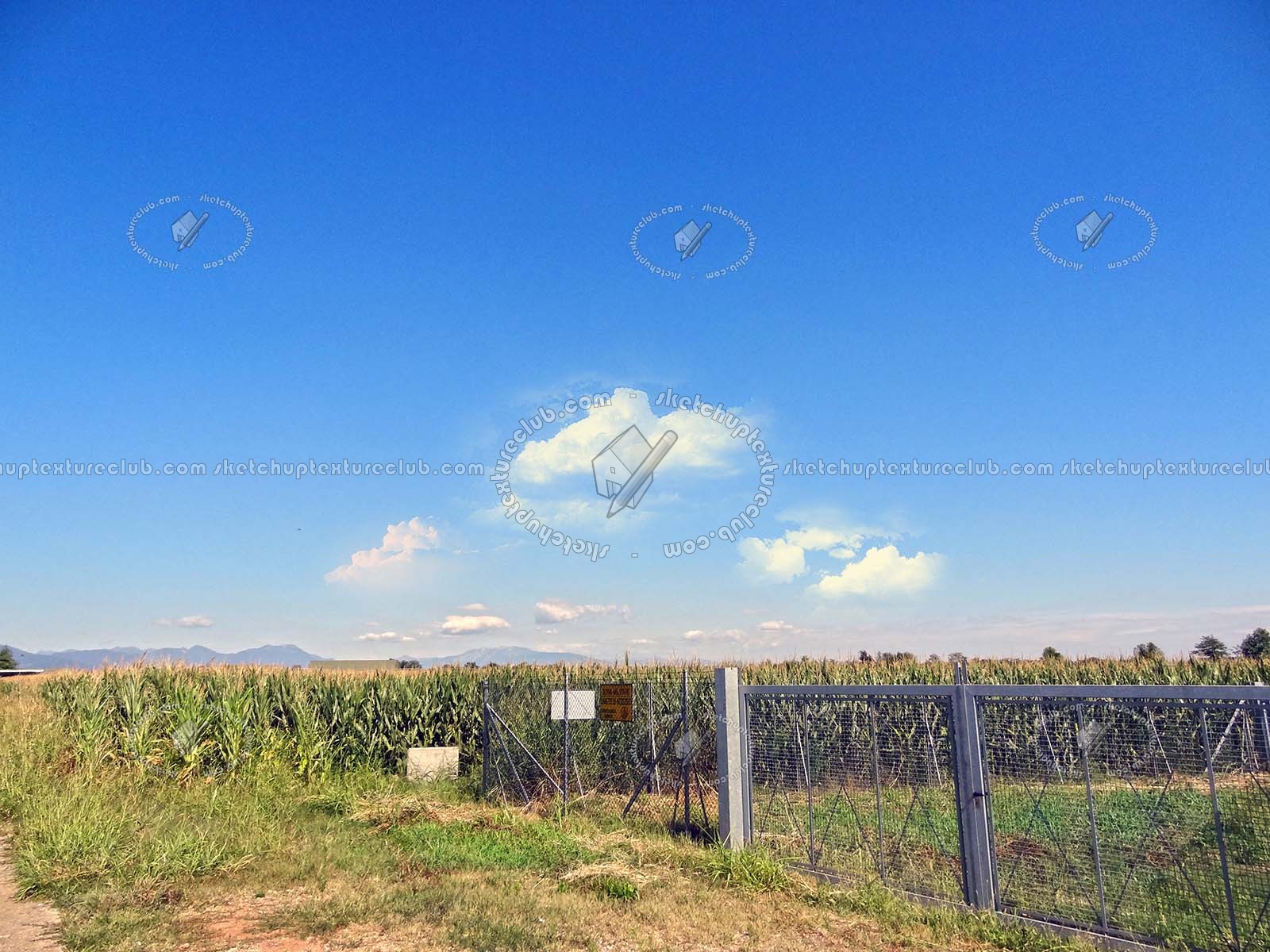 Textures   -   BACKGROUNDS &amp; LANDSCAPES   -   NATURE   -   Countrysides &amp; Hills  - Countrysides landscape texture 17496