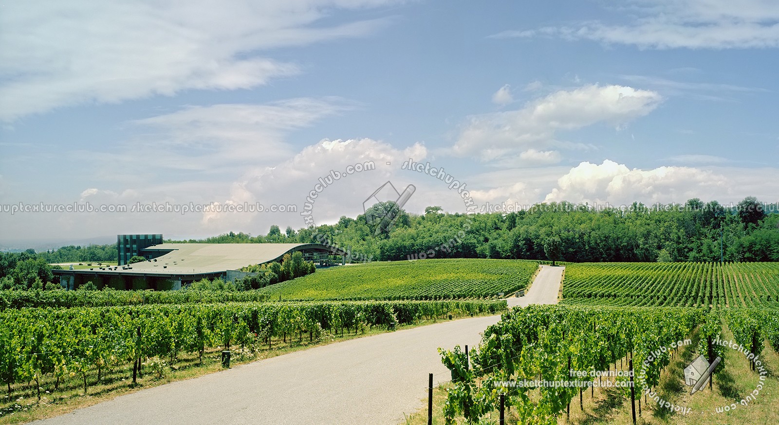 Textures   -   BACKGROUNDS & LANDSCAPES   -   NATURE   -   Vineyards  - Italy franciacorta vineyards background 17725