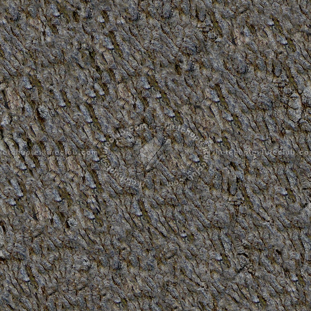 Textures   -   NATURE ELEMENTS   -   BARK  - Bark texture seamless 12310 (seamless)