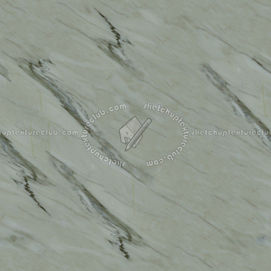 Textures   -   ARCHITECTURE   -   MARBLE SLABS   -   Green  - Slab marble calacatta green texture seamless 02229 (seamless)