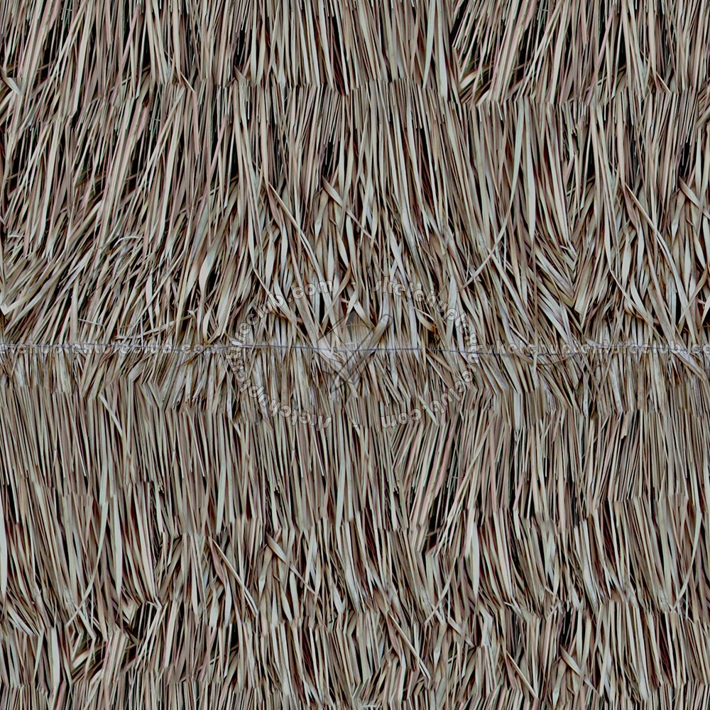 Textures   -   ARCHITECTURE   -   ROOFINGS   -   Thatched roofs  - Thatched roof texture seamless 04040 (seamless)