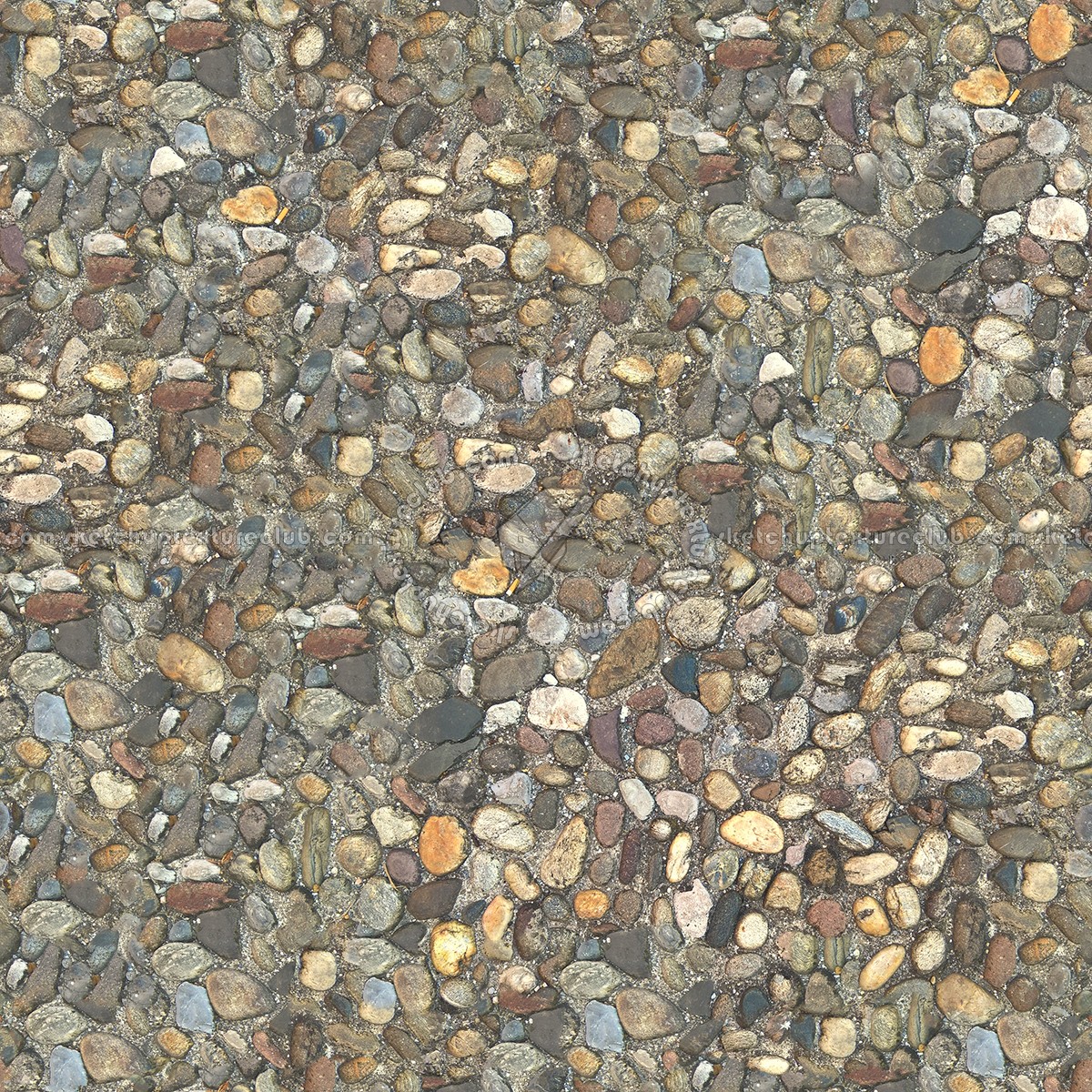 Textures   -   ARCHITECTURE   -   ROADS   -   Paving streets   -   Rounded cobble  - Rounded cobblestone texture seamless 07487 (seamless)