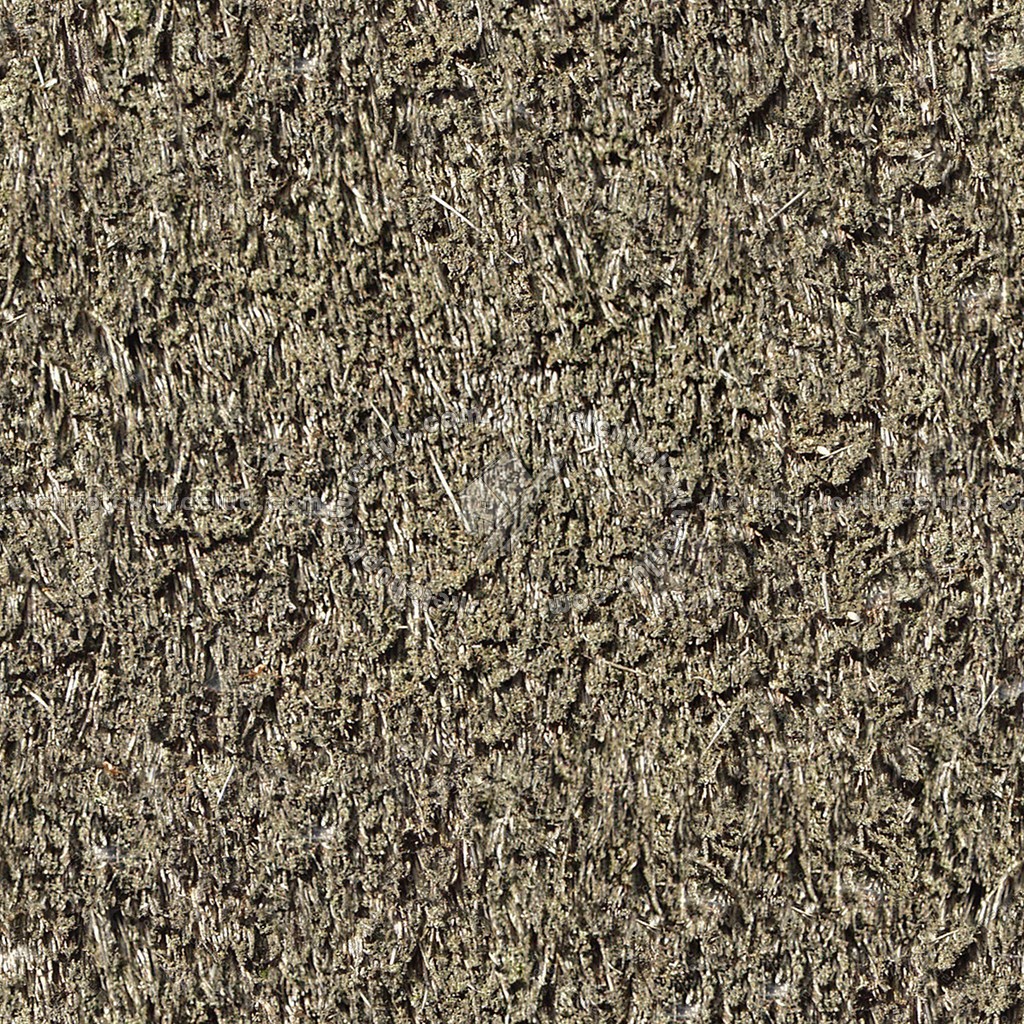 Textures   -   ARCHITECTURE   -   ROOFINGS   -   Thatched roofs  - Thatched roof texture seamless 04041 (seamless)