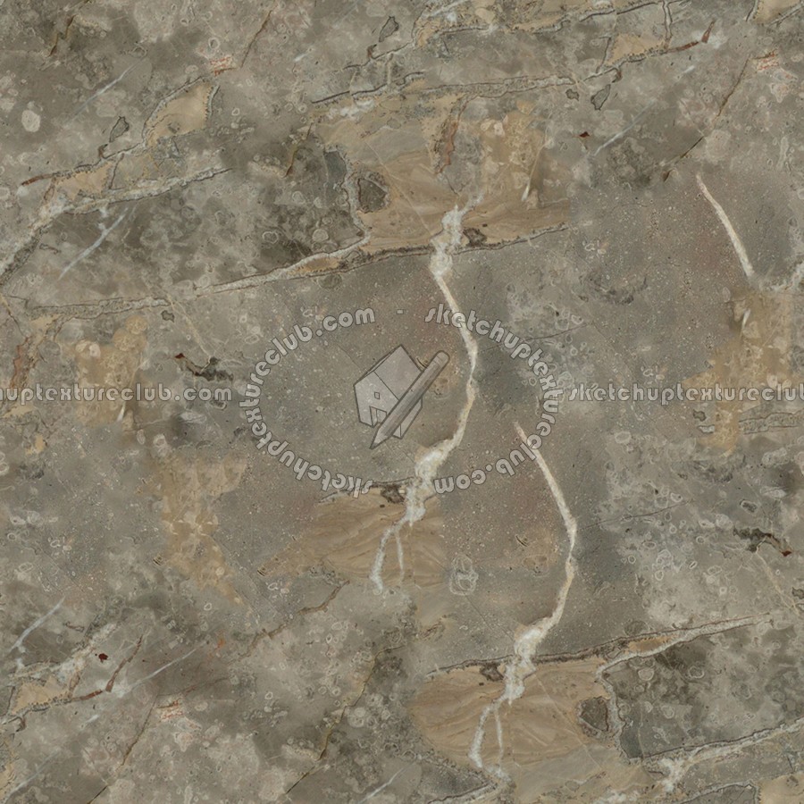 Textures   -   ARCHITECTURE   -   MARBLE SLABS   -   Grey  - Slab marble fior di bosco grey texture seamless 02307 (seamless)
