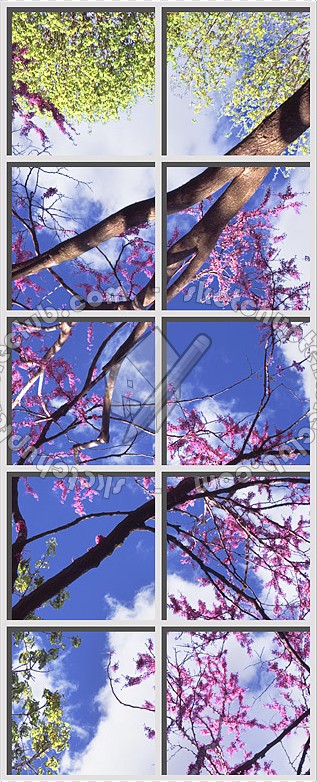 Textures   -   ARCHITECTURE   -   BUILDINGS   -   Windows   -   special windows  - Special window texture 01129