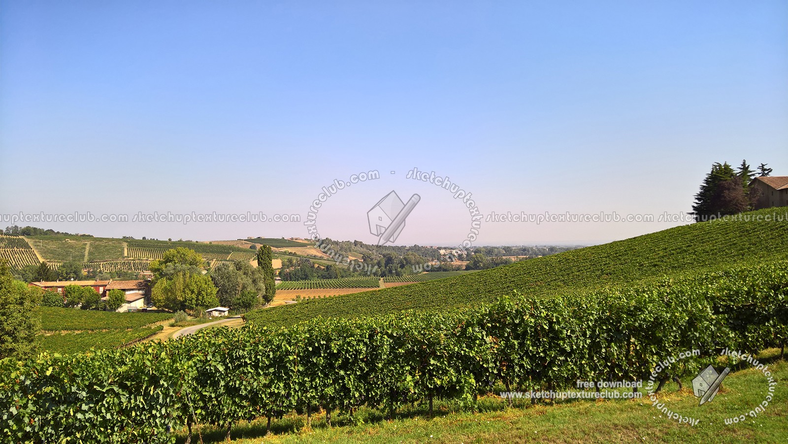 Textures   -   BACKGROUNDS &amp; LANDSCAPES   -   NATURE   -   Vineyards  - Italy vineyards background 17731