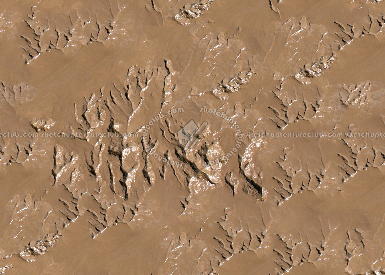 Textures   -   NATURE ELEMENTS   -   SOIL   -   Mud  - Mud texture seamless 12880 (seamless)