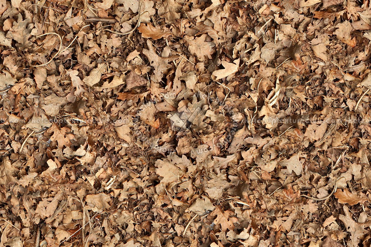 Textures   -   NATURE ELEMENTS   -   VEGETATION   -   Leaves dead  - Leaves dead texture seamless 13127 (seamless)