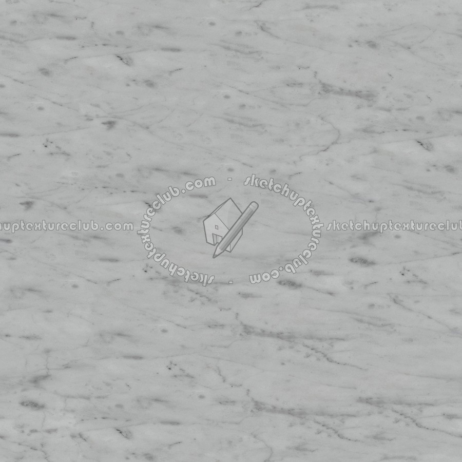 Textures   -   ARCHITECTURE   -   MARBLE SLABS   -   White  - Slab marble veined Carrara white texture seamless 02582 (seamless)