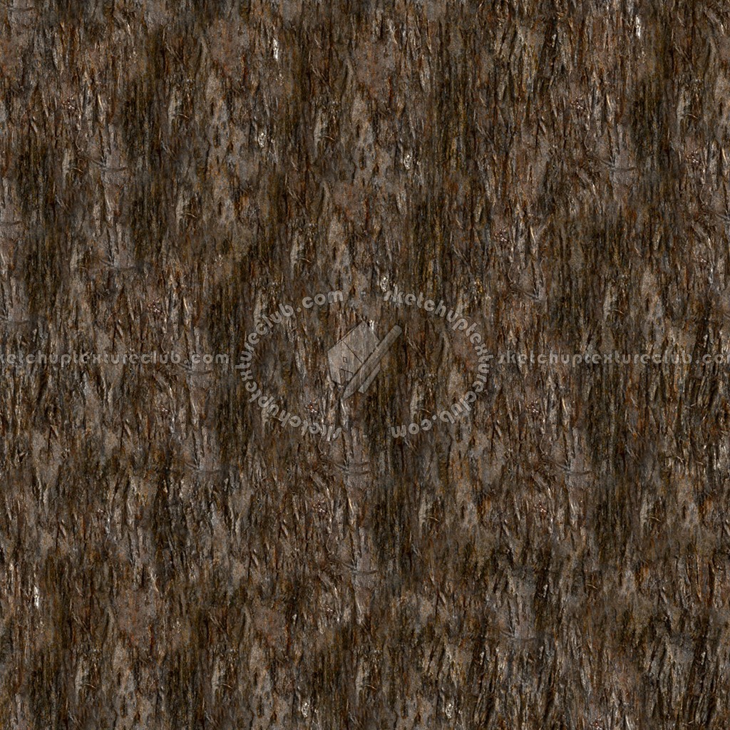 Textures   -   NATURE ELEMENTS   -   BARK  - Bark texture seamless 12319 (seamless)