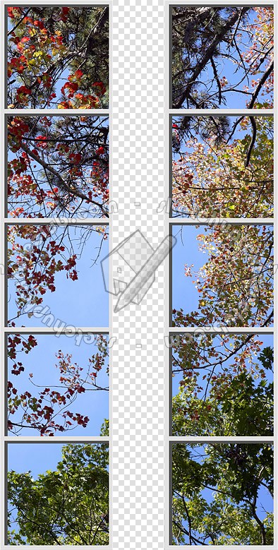 Textures   -   ARCHITECTURE   -   BUILDINGS   -   Windows   -   special windows  - Special window texture 01136