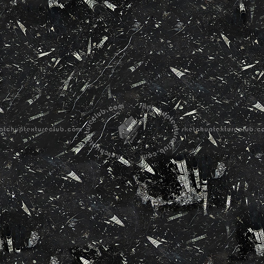 Textures   -   ARCHITECTURE   -   MARBLE SLABS   -   Black  - Slab marble fossil black texture seamless 01923 (seamless)