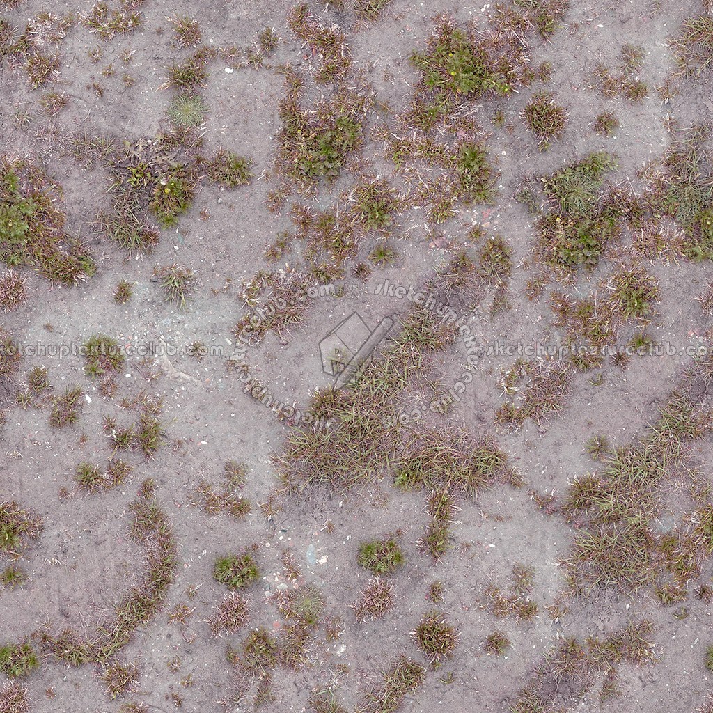 Textures   -   NATURE ELEMENTS   -   VEGETATION   -   Dry grass  - Dry grass texture seamless 12927 (seamless)