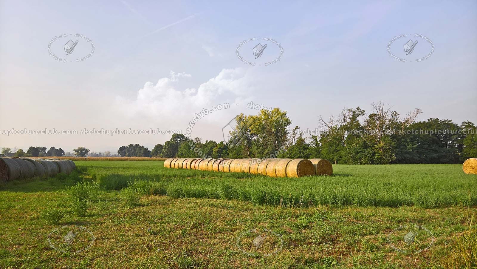 Textures   -   BACKGROUNDS & LANDSCAPES   -   NATURE   -   Countrysides & Hills  - Countryside landscape with hay rolls 17510