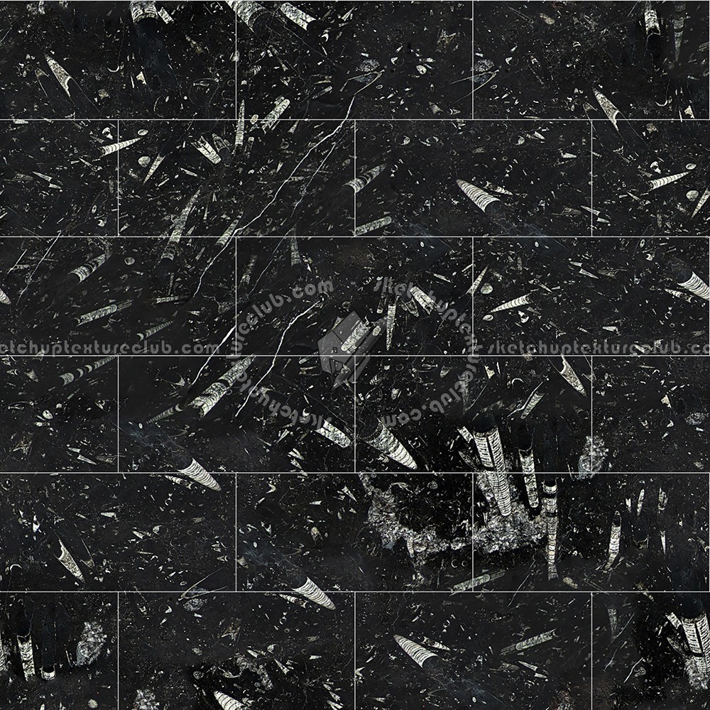 Textures   -   ARCHITECTURE   -   TILES INTERIOR   -   Marble tiles   -   Black  - Fossil black marble tile texture seamless 14127 (seamless)