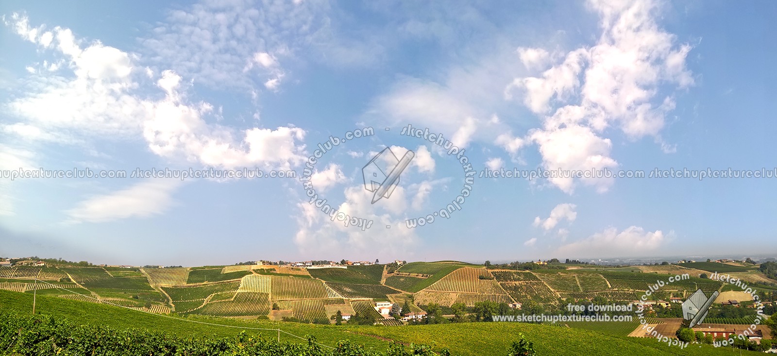 Textures   -   BACKGROUNDS &amp; LANDSCAPES   -   NATURE   -   Vineyards  - Italy vineyards background 17739
