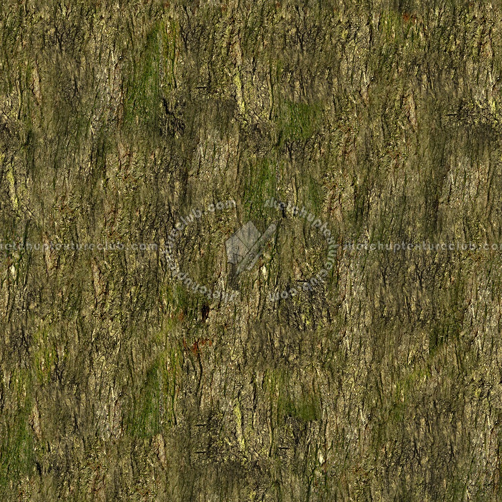 Textures   -   NATURE ELEMENTS   -   BARK  - Bark texture seamless 12324 (seamless)