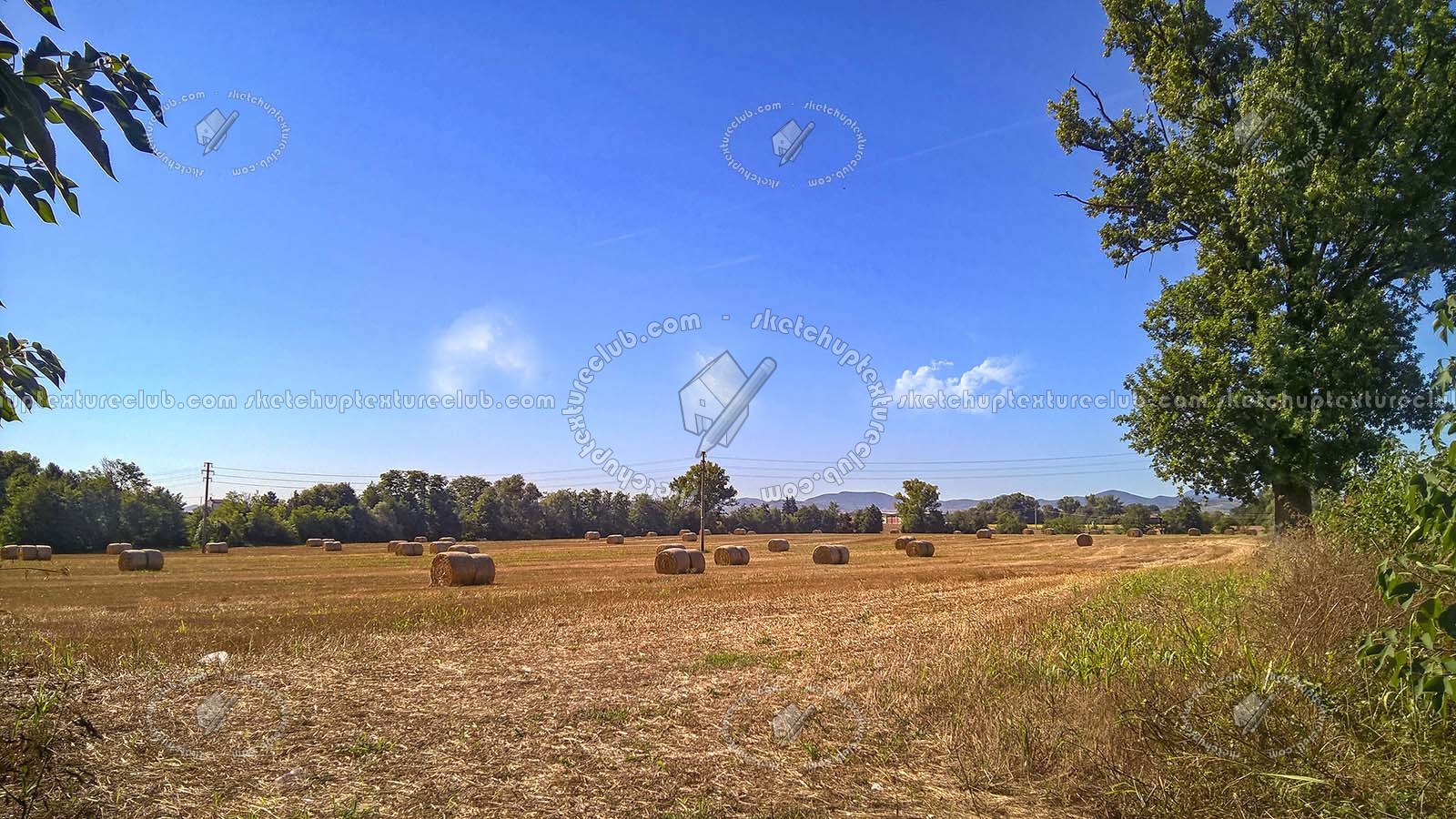 Textures   -   BACKGROUNDS & LANDSCAPES   -   NATURE   -   Countrysides & Hills  - Countryside landscape with hay rolls 17511