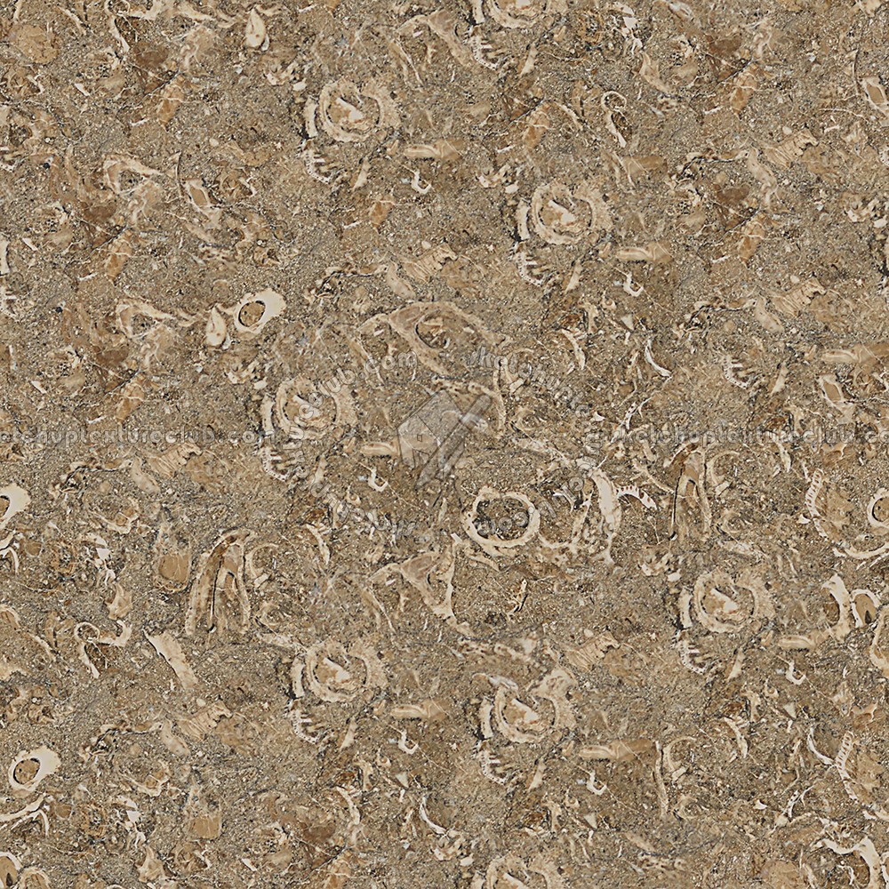 Textures   -   ARCHITECTURE   -   MARBLE SLABS   -   Brown  - Slab marble rasotica texture seamless 01985 (seamless)