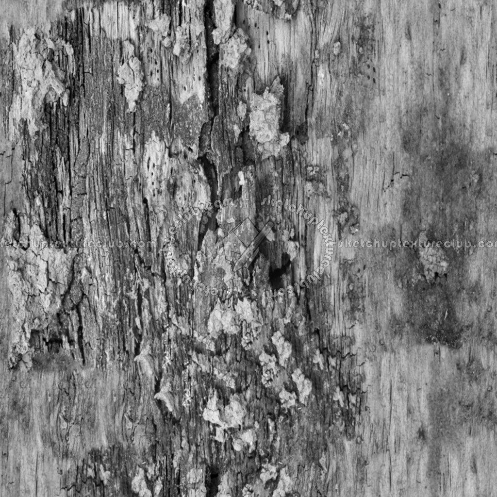 Textures   -   NATURE ELEMENTS   -   BARK  - Bark texture seamless 12325 - Displacement
