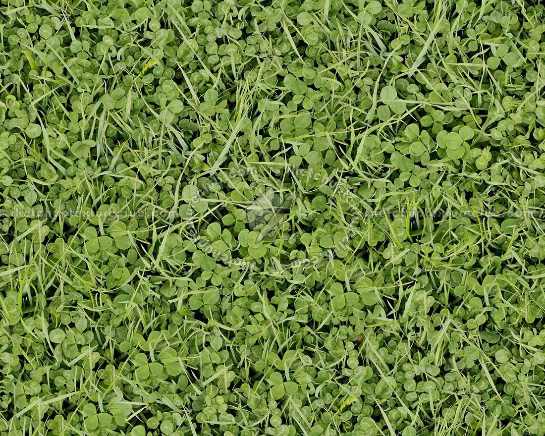 Textures   -   NATURE ELEMENTS   -   VEGETATION   -   Green grass  - Green grass texture seamless 12985 (seamless)