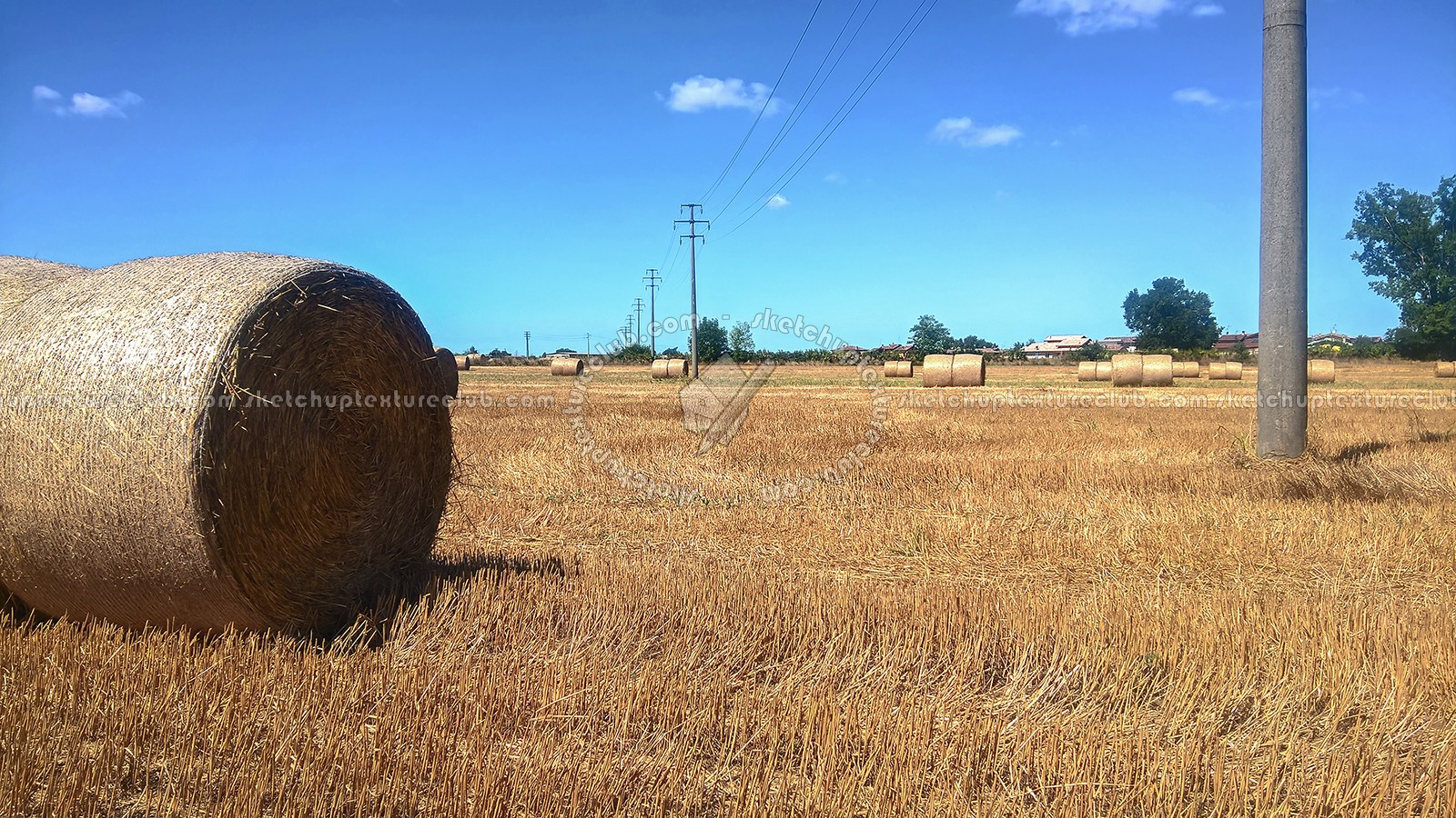 Textures   -   BACKGROUNDS & LANDSCAPES   -   NATURE   -   Countrysides & Hills  - Countryside landscape with hay rolls 17614