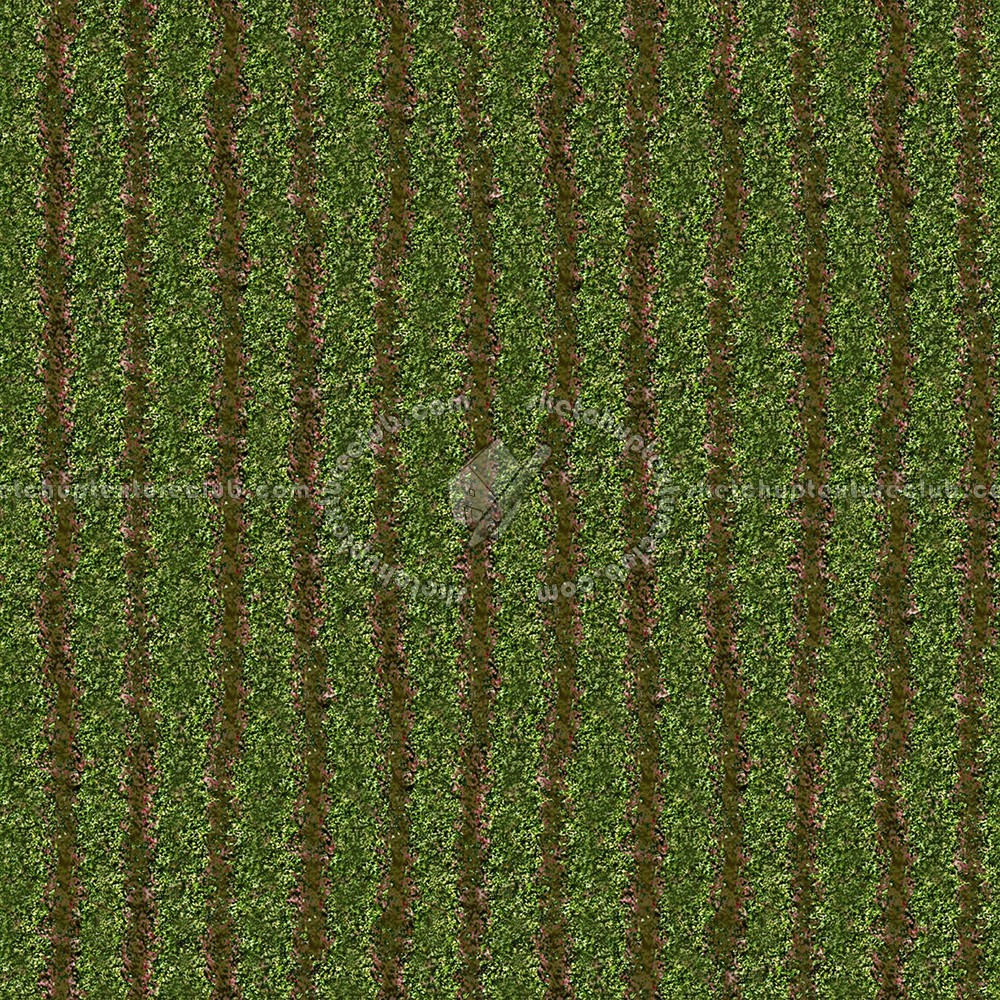 Textures   -   NATURE ELEMENTS   -   VEGETATION   -   Green grass  - Green grass texture seamless 12987 (seamless)