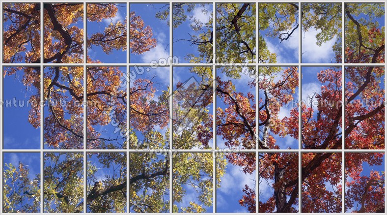 Textures   -   ARCHITECTURE   -   BUILDINGS   -   Windows   -   special windows  - Special window texture 01144