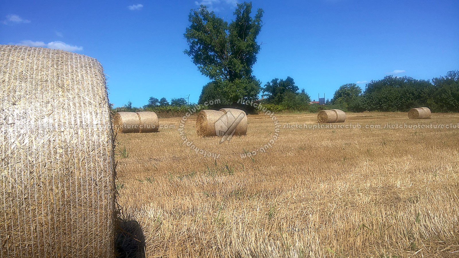 Textures   -   BACKGROUNDS & LANDSCAPES   -   NATURE   -   Countrysides & Hills  - Countryside landscape with hay rolls 17616