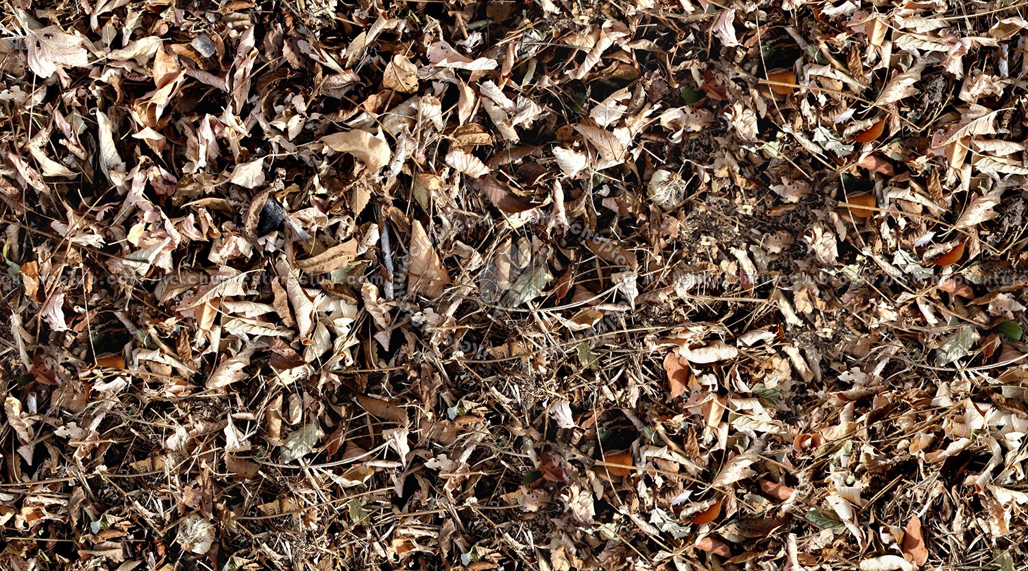 Textures   -   NATURE ELEMENTS   -   VEGETATION   -   Leaves dead  - Leaves dead texture seamless 13137 (seamless)