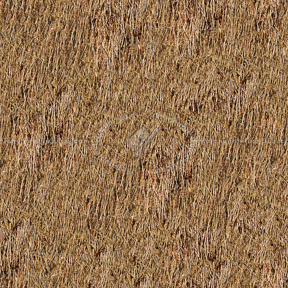 Textures   -   ARCHITECTURE   -   ROOFINGS   -   Thatched roofs  - Thatched roof texture seamless 04058 (seamless)