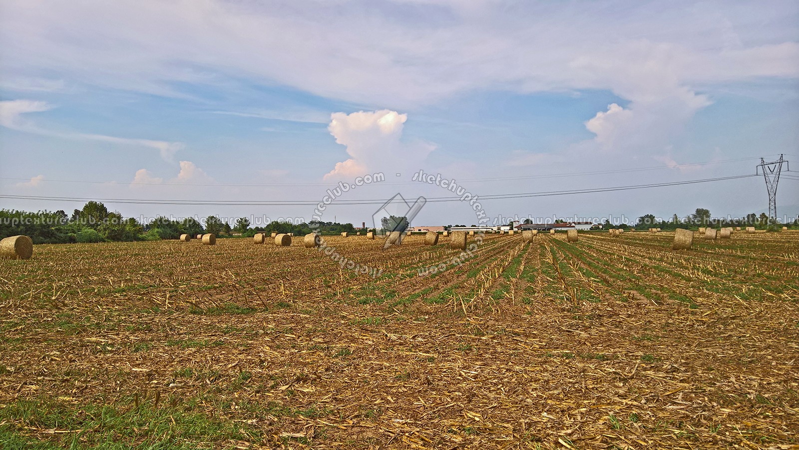 Textures   -   BACKGROUNDS & LANDSCAPES   -   NATURE   -   Countrysides & Hills  - Countryside landscape with hay rolls 17617