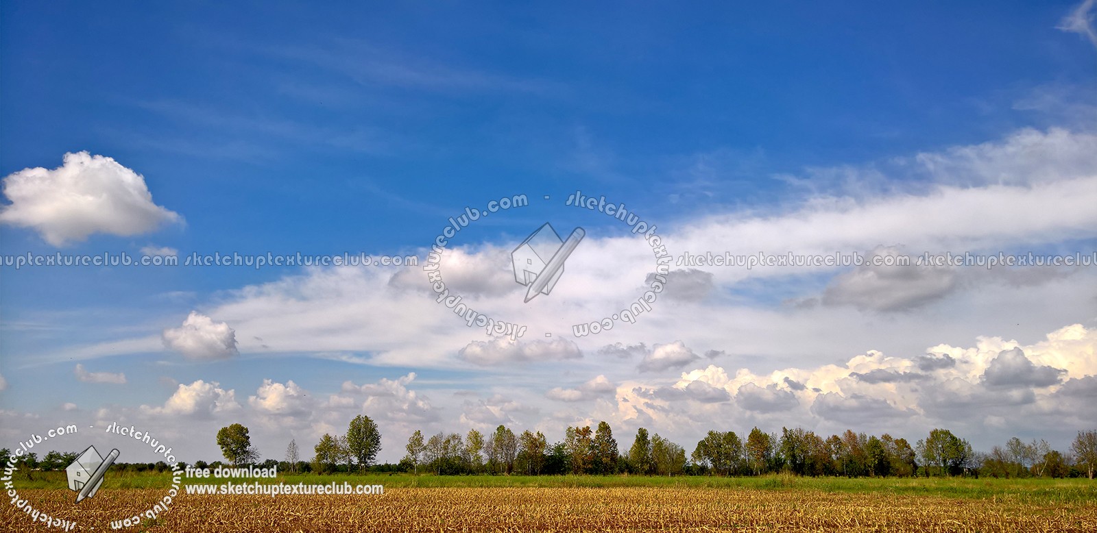 Textures   -   BACKGROUNDS &amp; LANDSCAPES   -   SKY &amp; CLOUDS  - Sky with trees line background 17800
