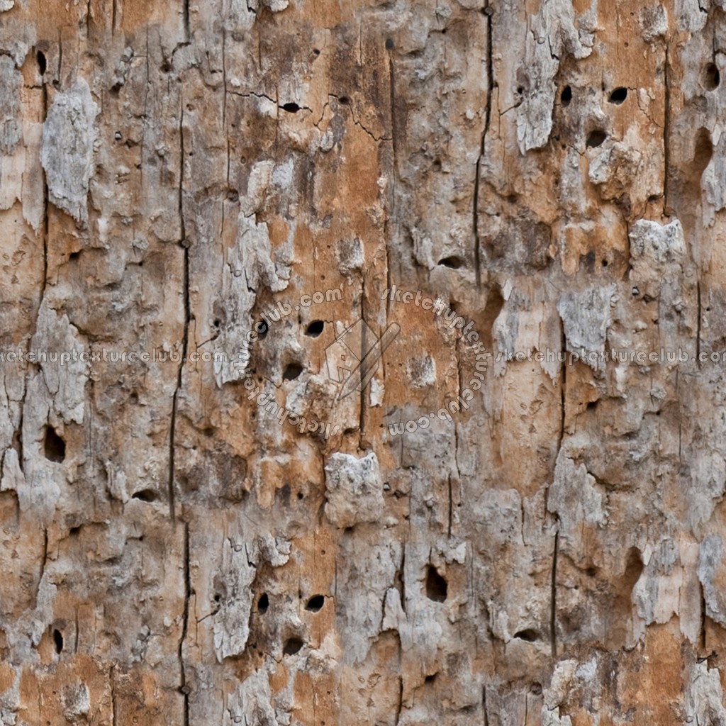 Textures   -   NATURE ELEMENTS   -   BARK  - Bark texture seamless 12330 (seamless)