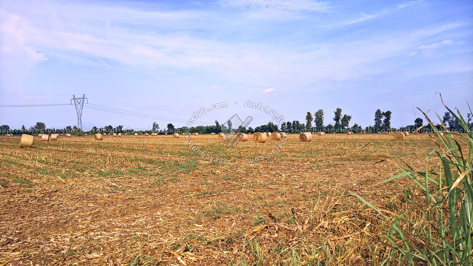 Textures   -   BACKGROUNDS & LANDSCAPES   -   NATURE   -   Countrysides & Hills  - Countryside landscape with hay rolls 17618