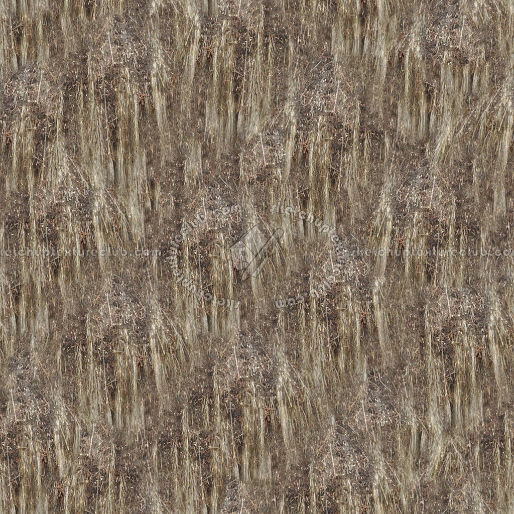 Textures   -   ARCHITECTURE   -   ROOFINGS   -   Thatched roofs  - Thatched roof texture seamless 04062 (seamless)