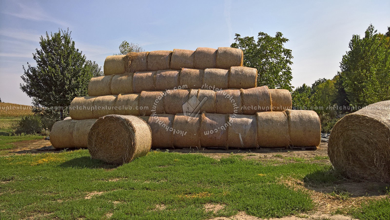 Textures   -   BACKGROUNDS & LANDSCAPES   -   NATURE   -   Countrysides & Hills  - Countryside landscape with hay rolls 17621