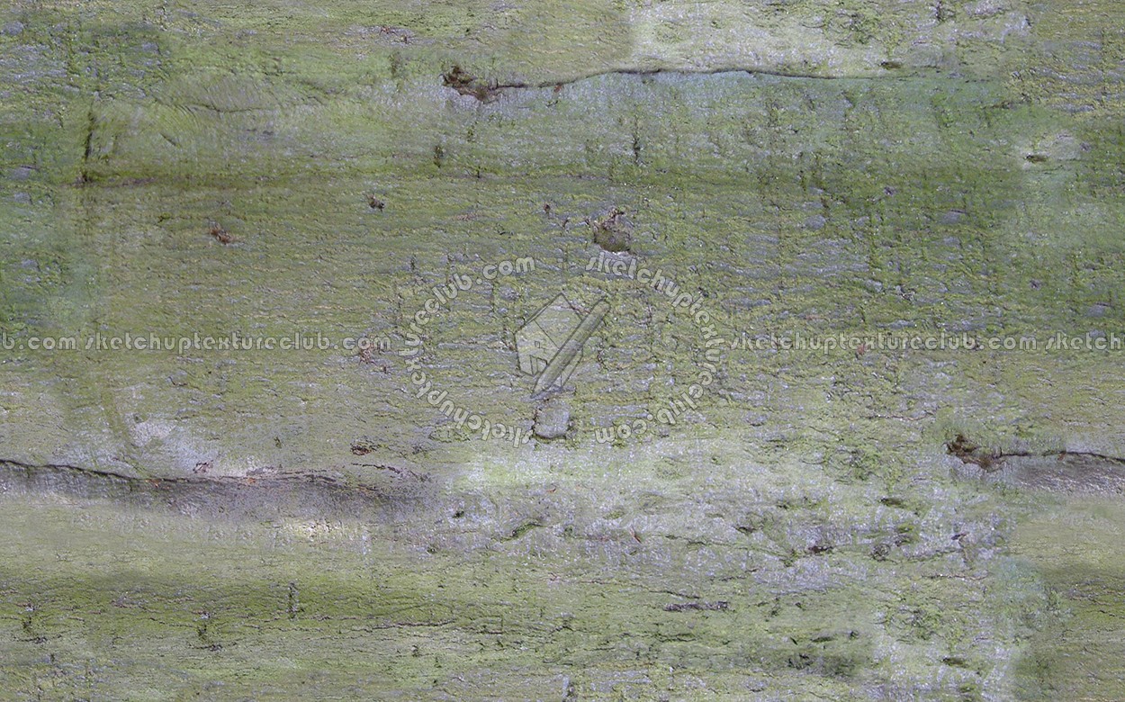 Textures   -   NATURE ELEMENTS   -   BARK  - Bark texture seamless 12335 (seamless)