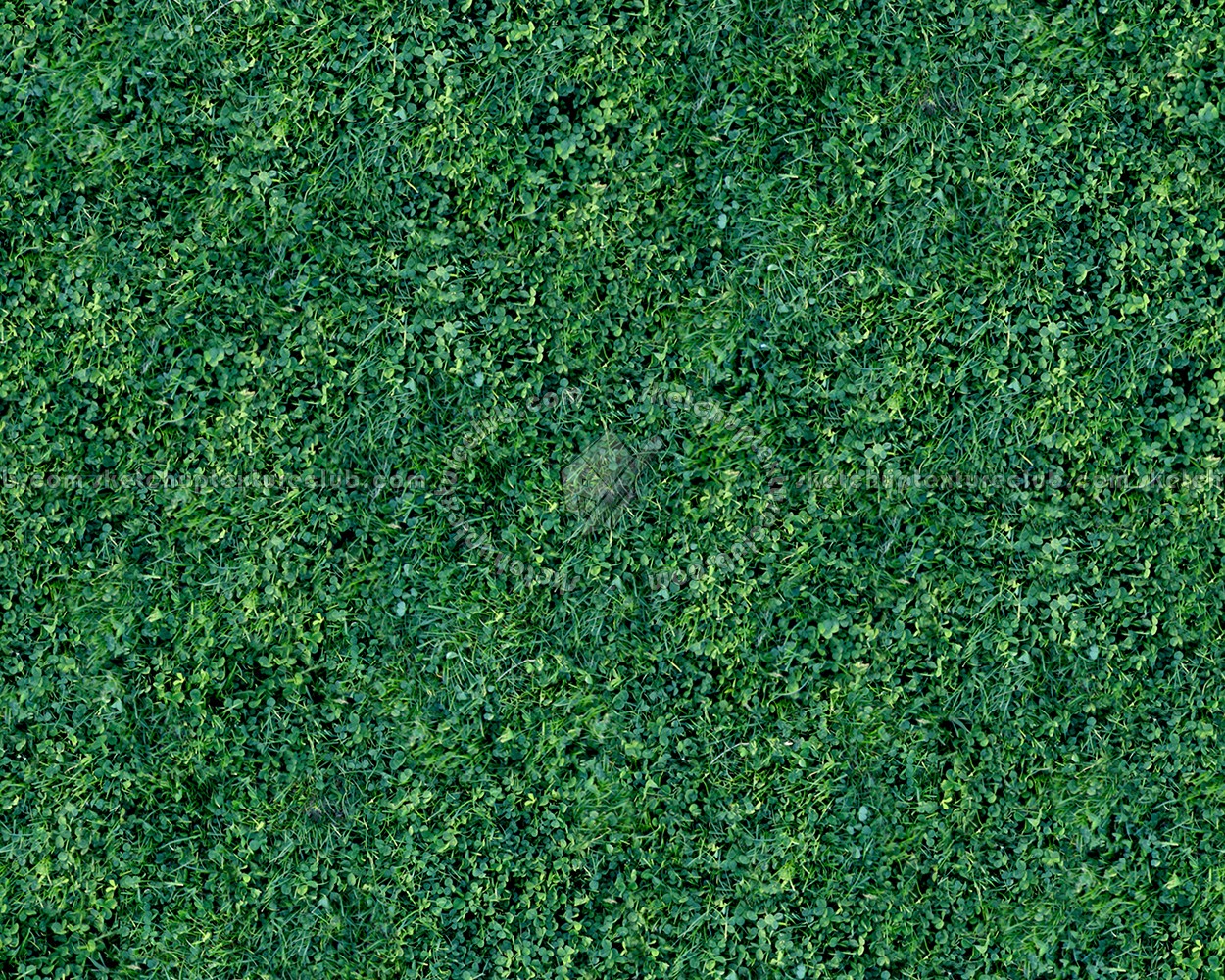 Textures   -   NATURE ELEMENTS   -   VEGETATION   -   Green grass  - Green grass texture seamless 12995 (seamless)