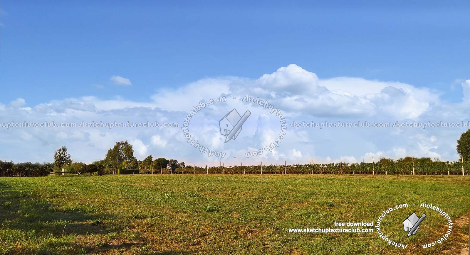 Textures   -   BACKGROUNDS &amp; LANDSCAPES   -   NATURE   -   Vineyards  - Italy vineyards background 18059