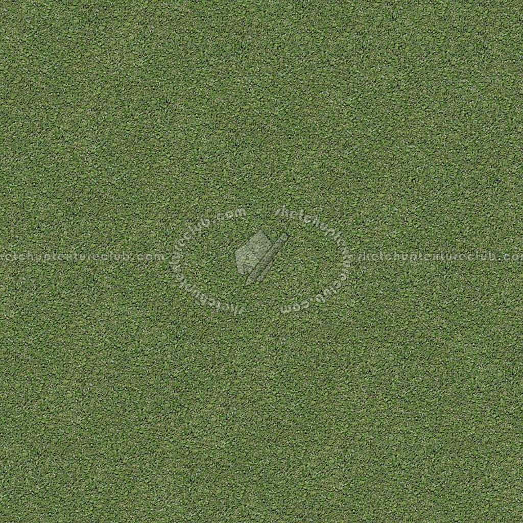 Textures   -   NATURE ELEMENTS   -   VEGETATION   -   Green grass  - Green grass texture seamless 12996 (seamless)