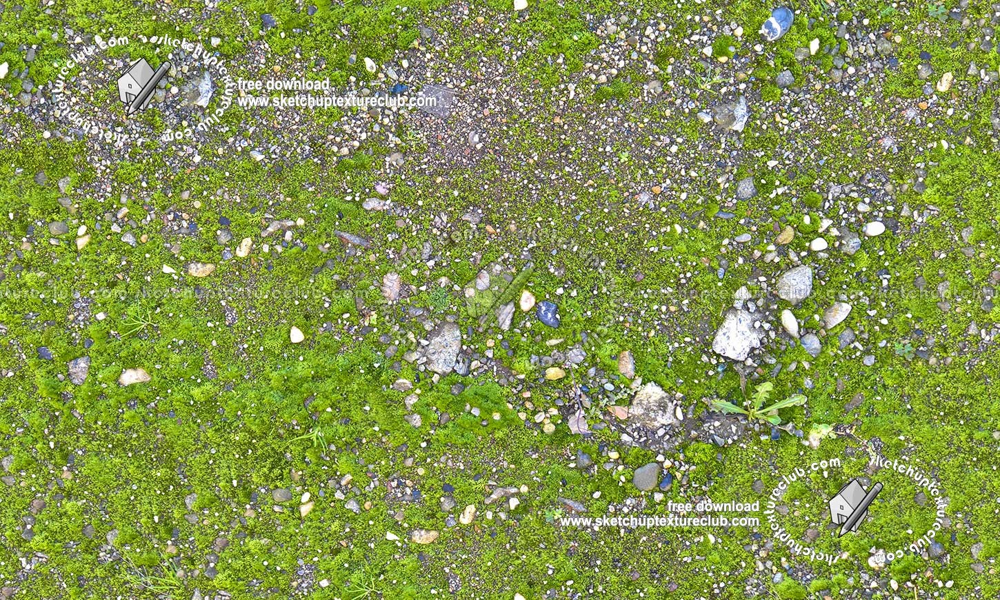 Textures   -   NATURE ELEMENTS   -   VEGETATION   -   Moss  - Ground with moss texture seamless 20521 (seamless)