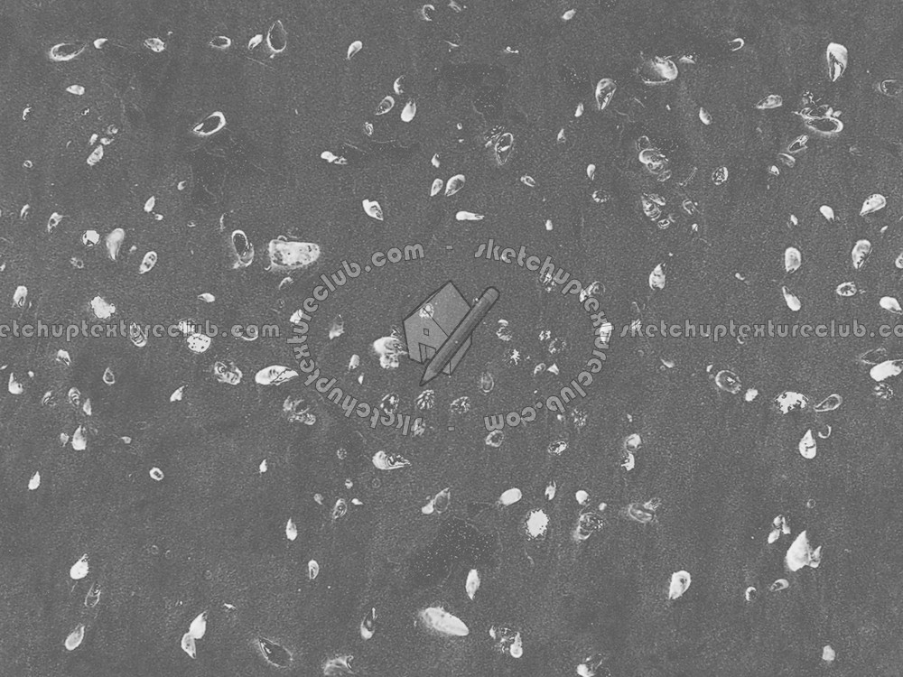 Textures   -   NATURE ELEMENTS   -   SAND  - Beach sand texture seamless 12730 - Bump